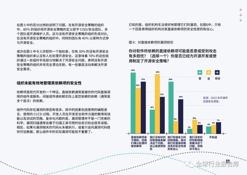 開(kāi)源軟件安全 應(yīng)對(duì)網(wǎng)絡(luò)安全挑戰(zhàn)的開(kāi)發(fā)實(shí)踐與策略